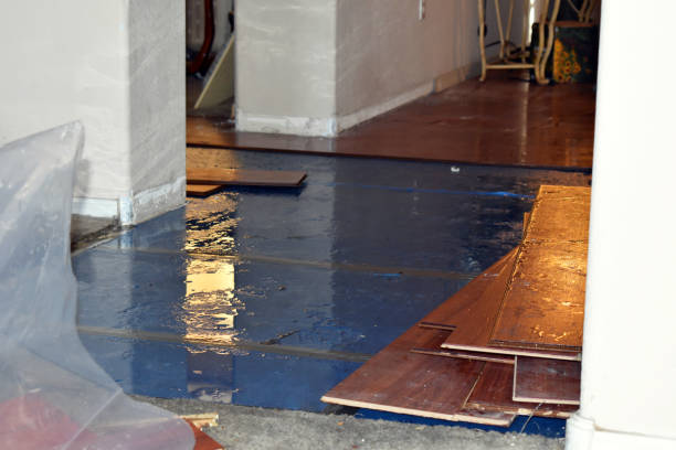Professional Basement Flood Cleanup technician working in Mineola, NY